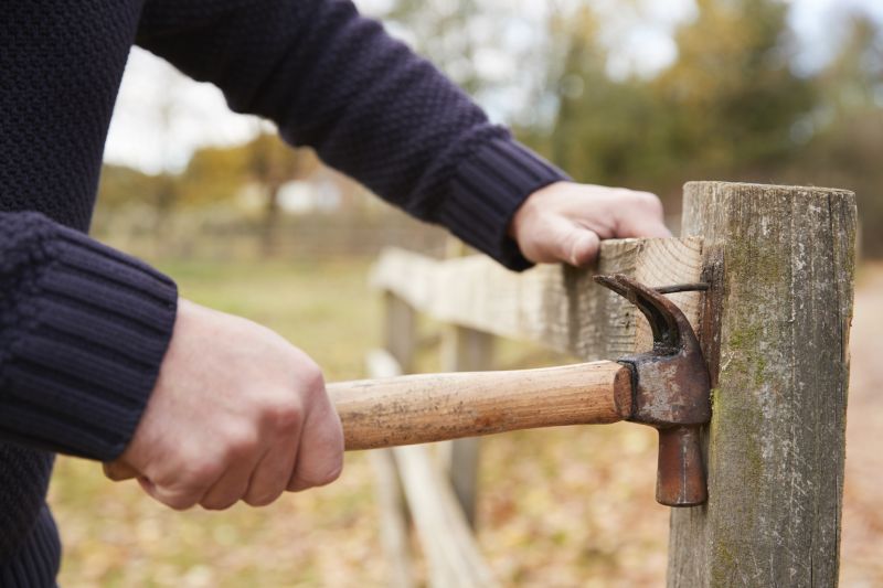 Fence Removal Services